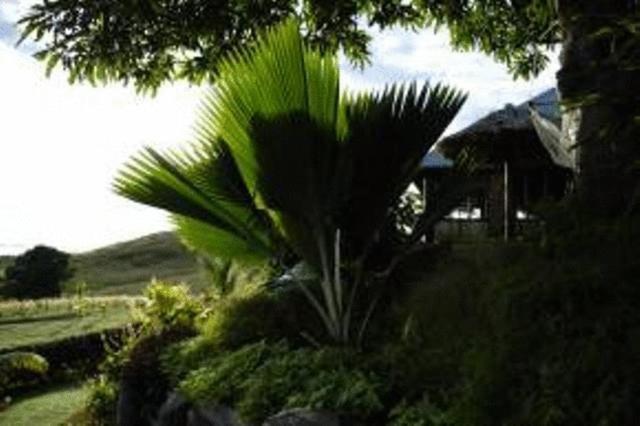 Palmlea Farms Lodge & Bures - Villas Labasa Exterior photo